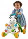 Ходунки Fisher Price Zebra DPL53 41x46x11 см кольорові