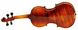 Скрипка ARS Nova HV-325 1/2 r, Коричневый