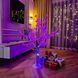- 4