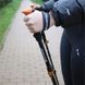 Складні та регульовані прогулянкові палиці для Скандинавської ходьби в горах
