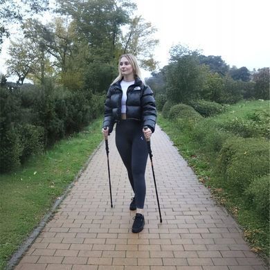 Трекінгові палиці для ходьби Nordic Walking Carbon Fiber