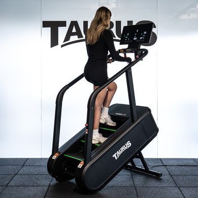 Тренувальні сходи Taurus ST9.9 (Stair Trainer)