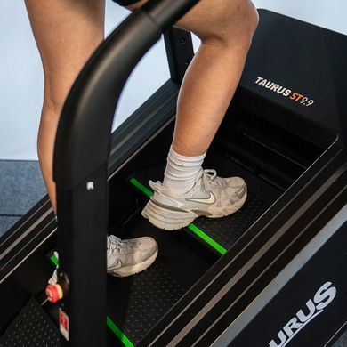 Тренувальні сходи Taurus ST9.9 (Stair Trainer)