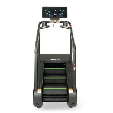 Тренувальні сходи Taurus ST9.9 (Stair Trainer)
