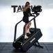 Тренувальні сходи Taurus ST9.9 (Stair Trainer)