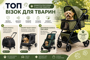 Топ колясок для животных: как выбрать идеальную модель для прогулок и путешествий