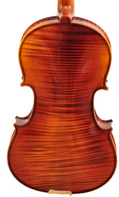 Скрипка ARS Nova HV-325 1/4 r