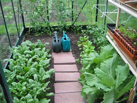 Теплица из поликарбоната Balance Green Palram-Canopia