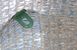Теплица из поликарбоната Balance Green Palram-Canopia, Прозрачный, 2,44 х 2,47, 247