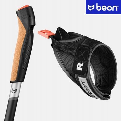 Палки для скандинавской ходьбы, карбон Beon NX6 Carbon Black