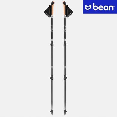 Палки для скандинавской ходьбы, карбон Beon NX6 Carbon Black