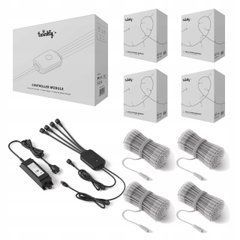 Набор светодиодов Strings Twinkly Plus 1000 &mdash; 1 контроллер + 4 Strings 250 RGBW L