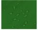 Подушка для садовой качели зеленая 100x60x50см - 2