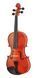 Скрипка ARS Nova HV-400 6FF3-662E0 r 3/4 - 7