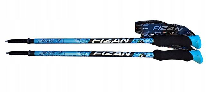 Трекинговые палки Fizan Compact MS 59-132 см