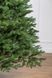 - 8