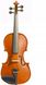 Скрипка Stentor SR1018A R. 4/4, Коричневий